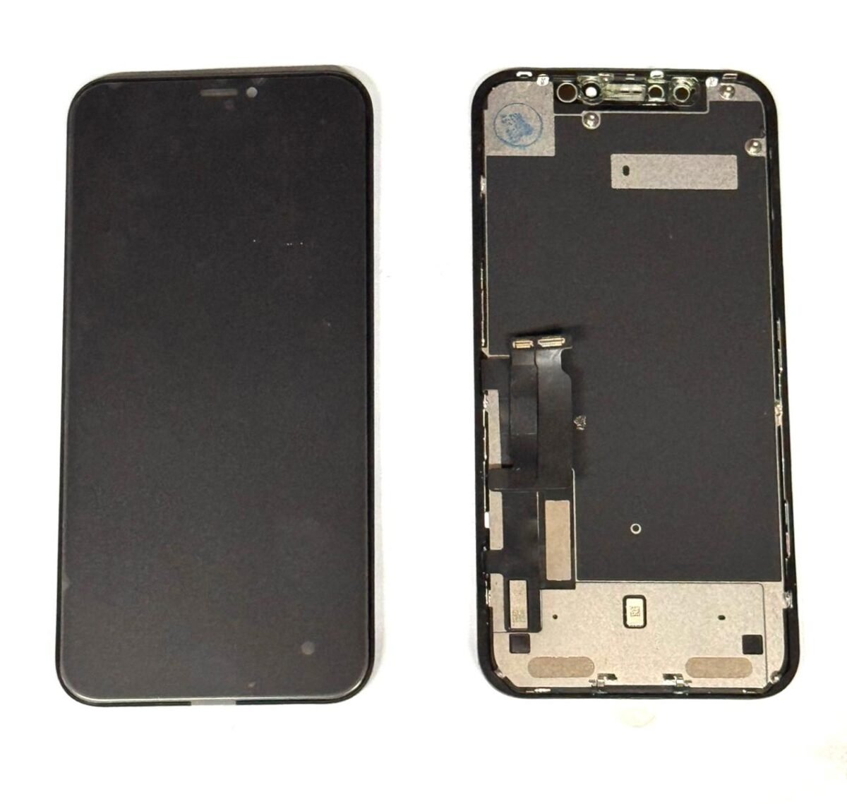 XR - Image 1